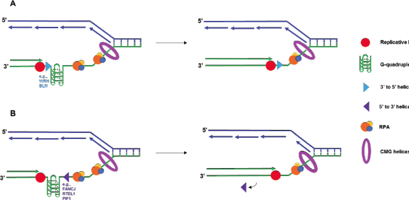 Fig. (3).