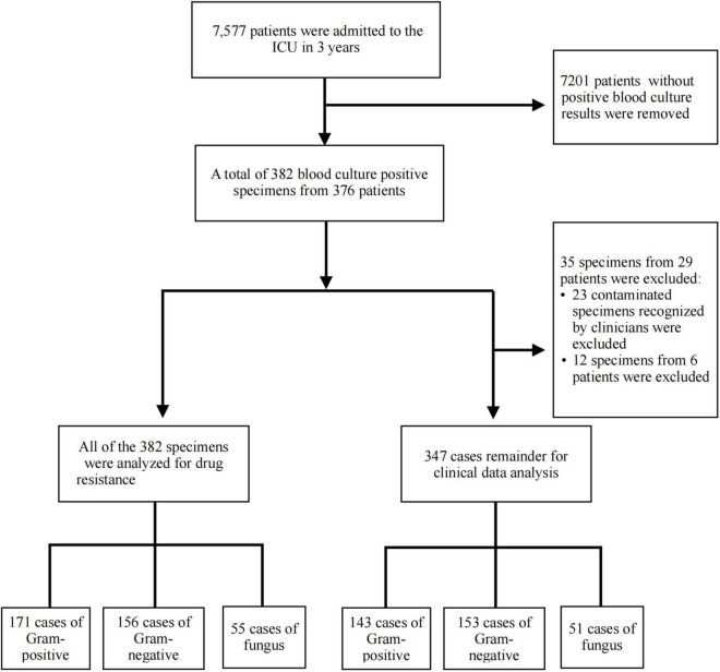 FIGURE 1