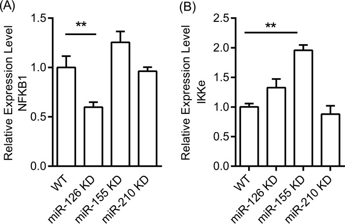 FIG 4