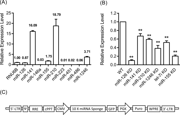 FIG 1