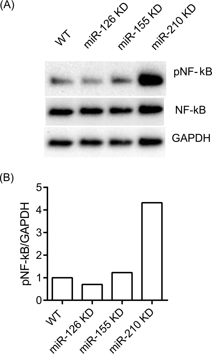 FIG 5