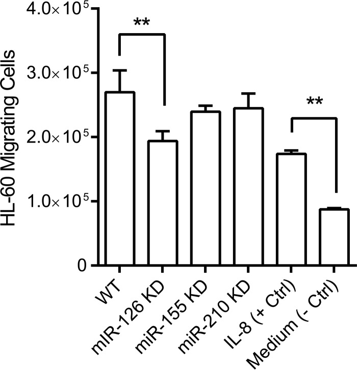 FIG 6