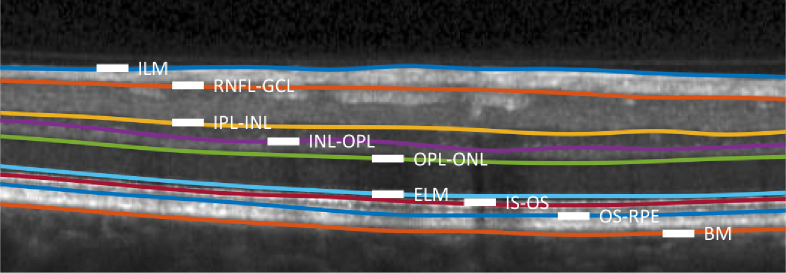 Fig. 6.