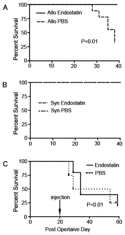 Figure 22