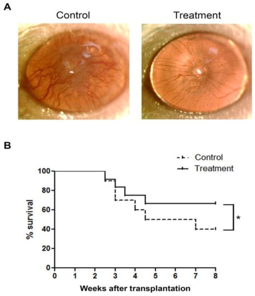 Figure 25