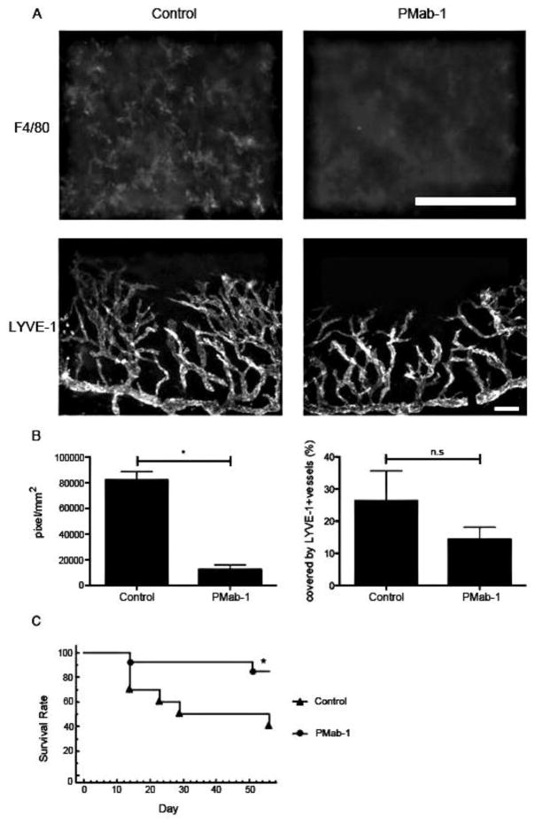 Figure 26