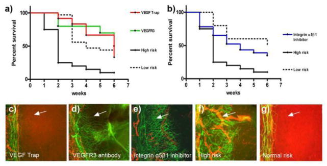 Figure 23