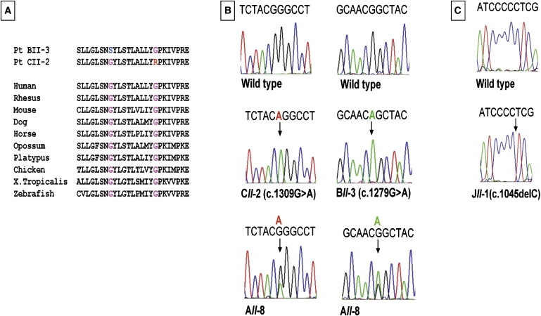 Figure 3