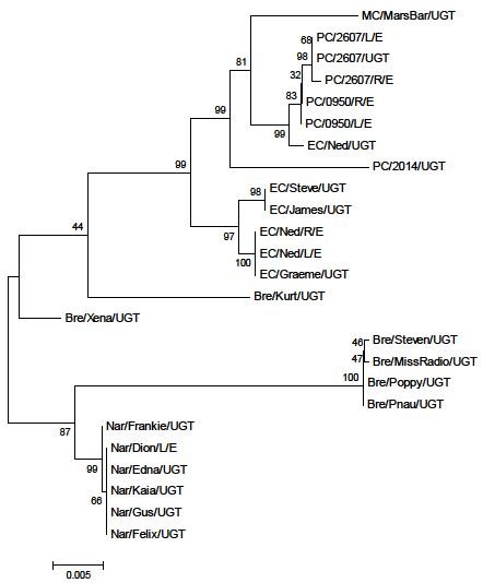 Figure 2