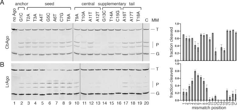 Figure 5.