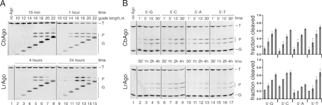 Figure 3.