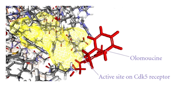 Figure 12