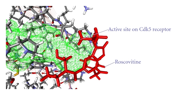 Figure 13