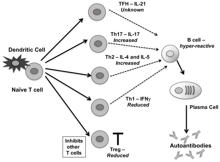 FIGURE 3