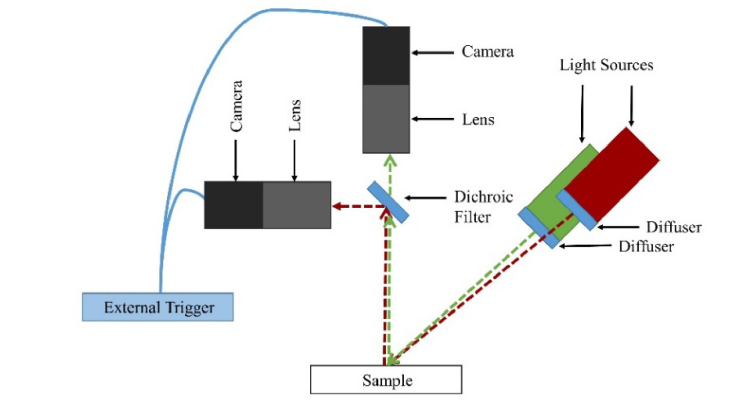 Fig. 2