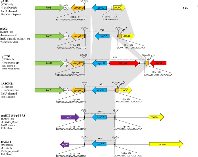 FIG 2