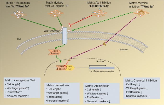 Fig. 10