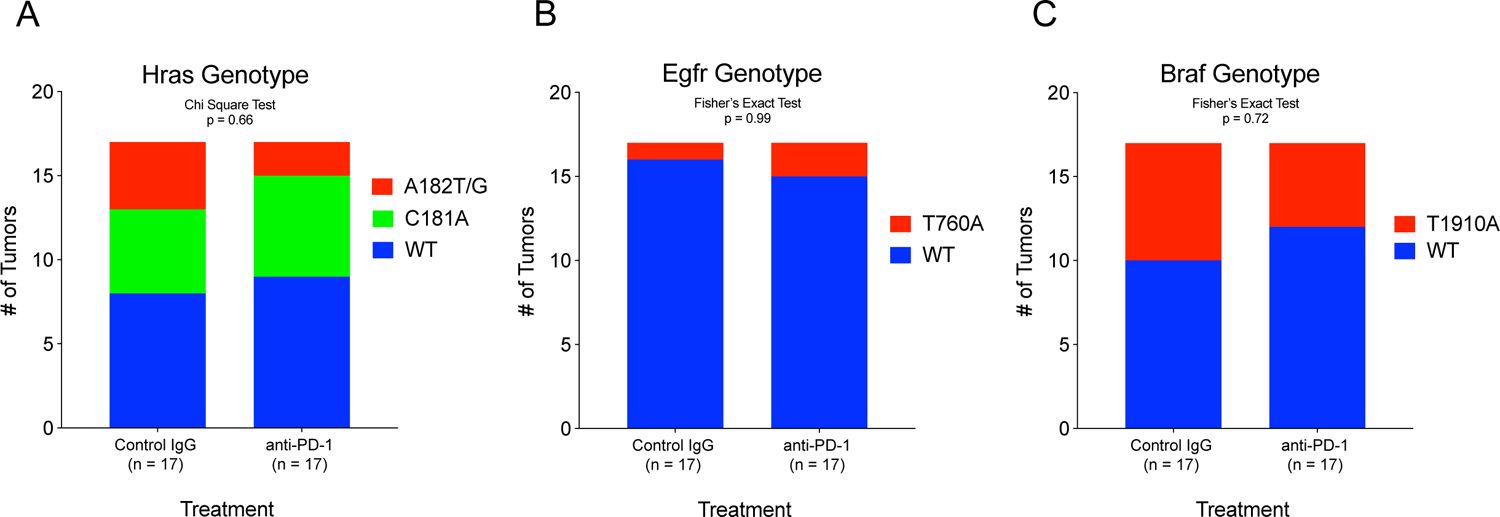 Figure 5: