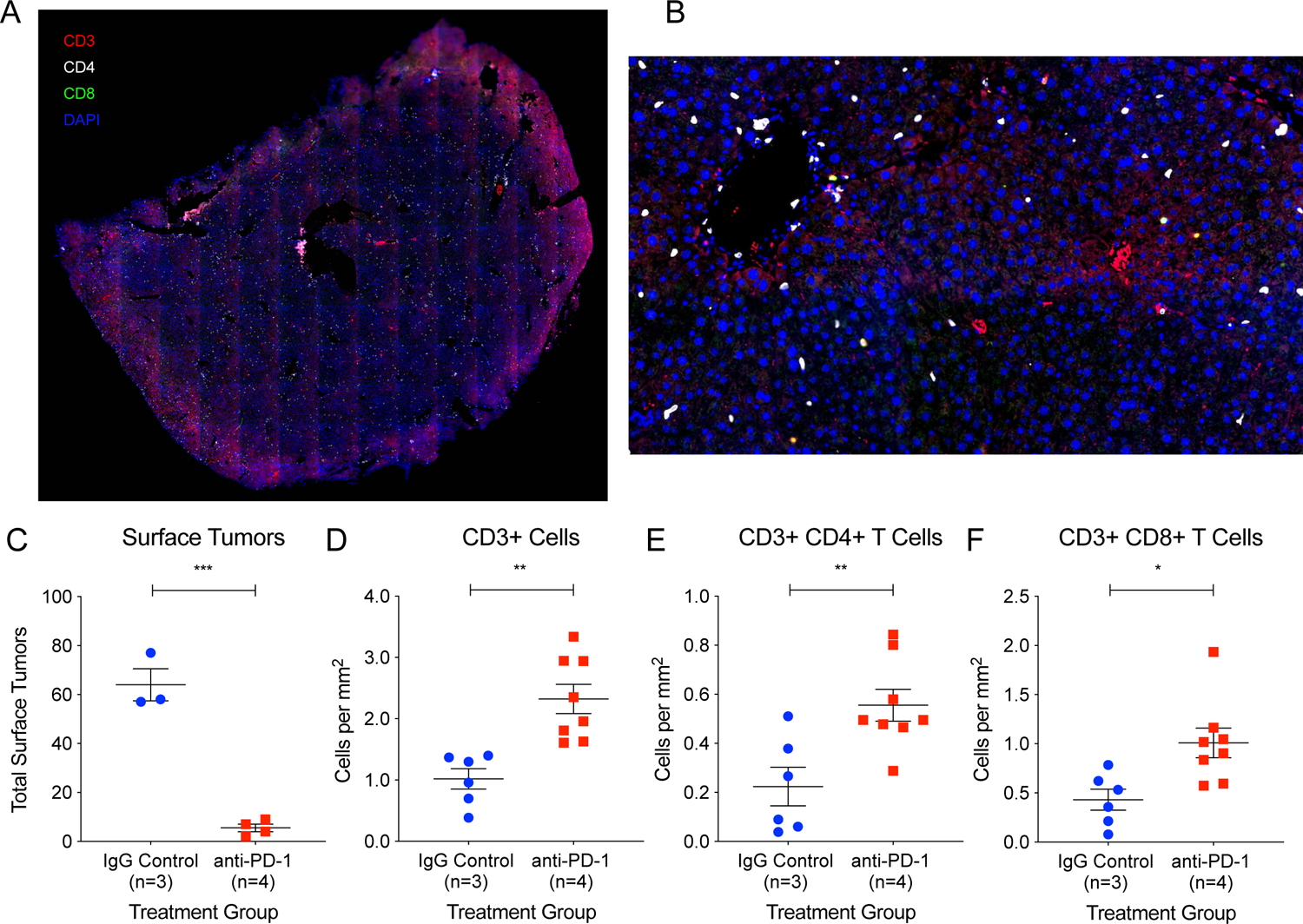 Figure 4: