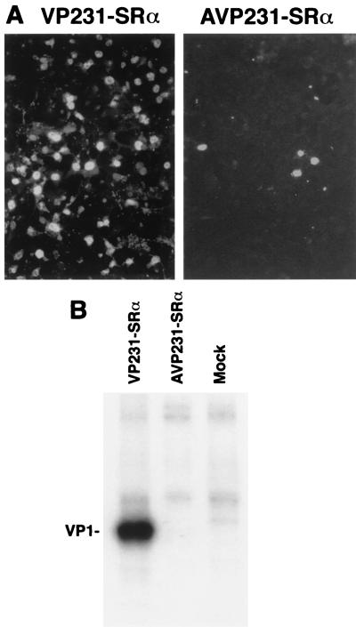 FIG. 7