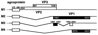 FIG. 5