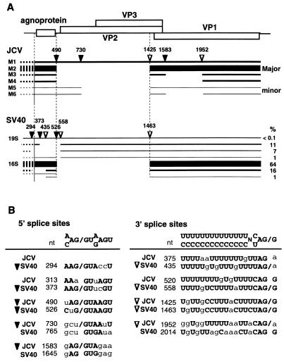 FIG. 10