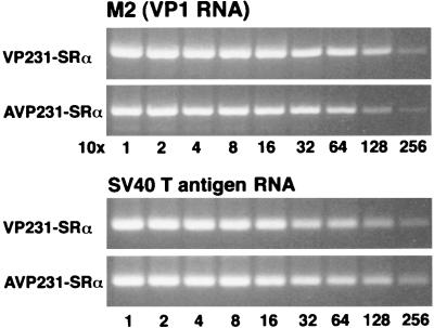 FIG. 6