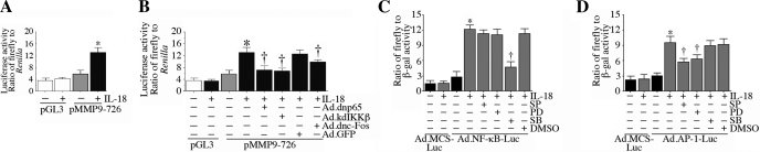 Fig. 10.