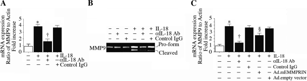 Fig. 9.