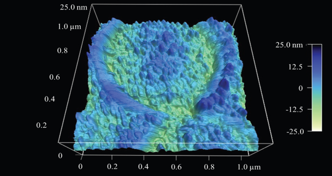 Figure 4