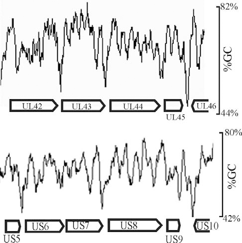 Fig. (4)