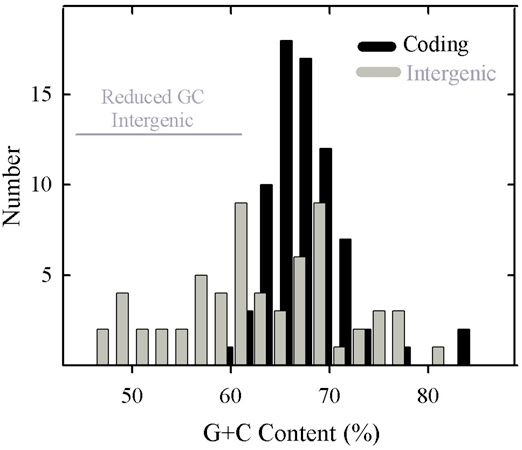 Fig. (2)