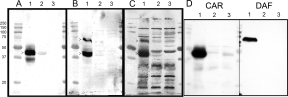 FIG. 5.