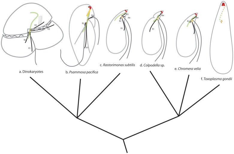 Figure 9