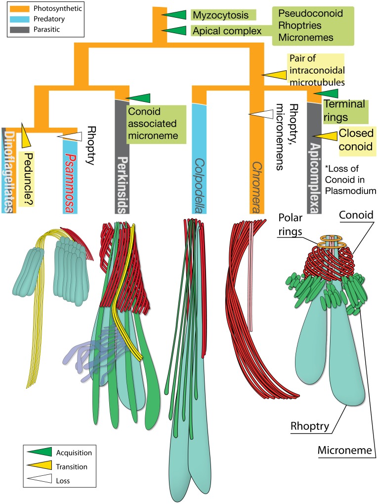 Figure 10