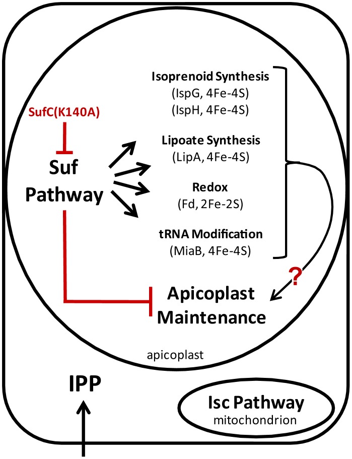 Figure 9