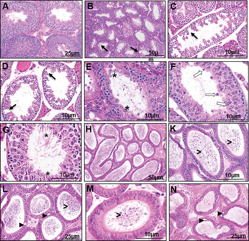 FIG. 7