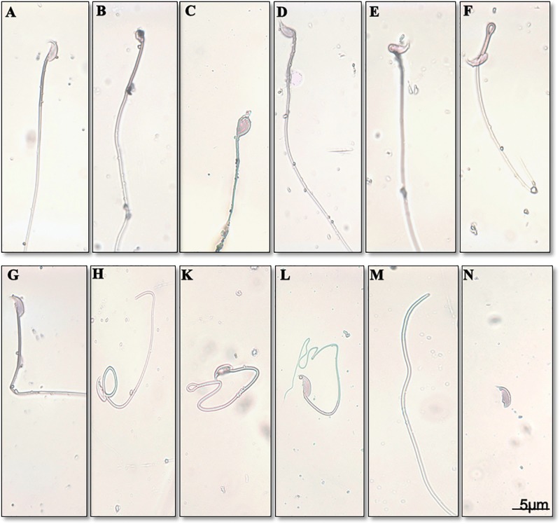 FIG. 6