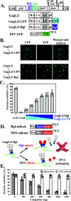 FIG 1