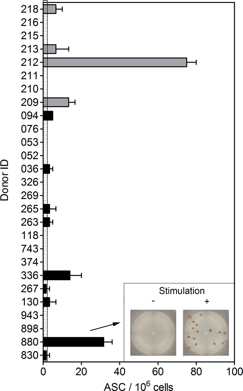 FIG 7