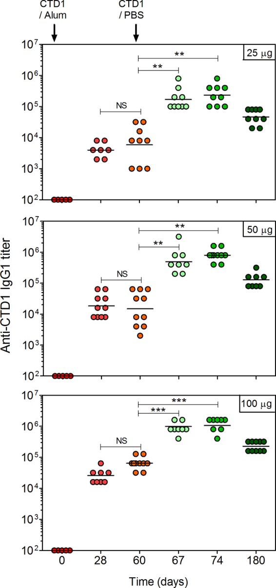 FIG 1