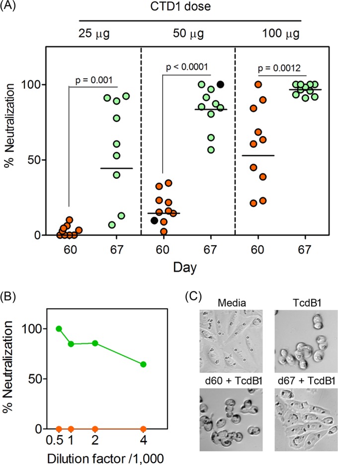 FIG 3