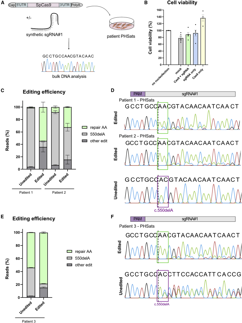 Figure 4