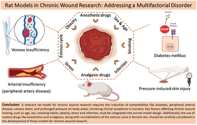 graphic file with name nihms-2031393-f0001.jpg