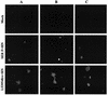 FIG. 10.