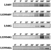 FIG. 8.