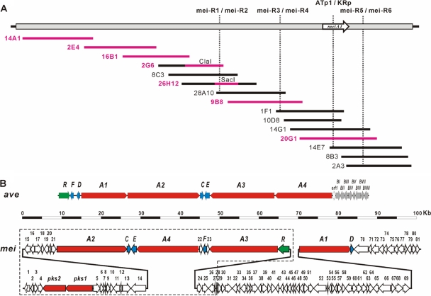 FIG. 2.