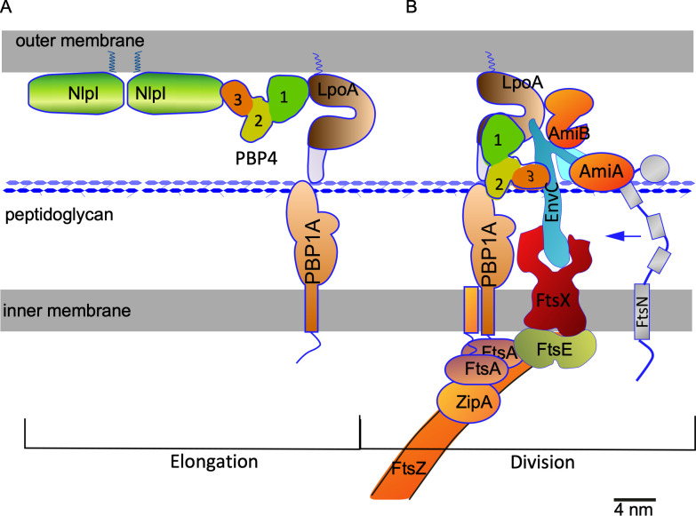 Fig 9