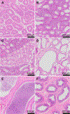 FIG. 9.