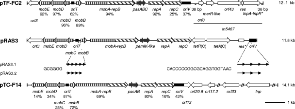 FIG. 1.